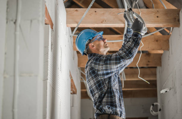 Best Electrical System Inspection  in Telford, TN